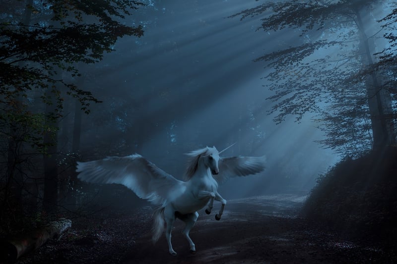Unicorn Accessories